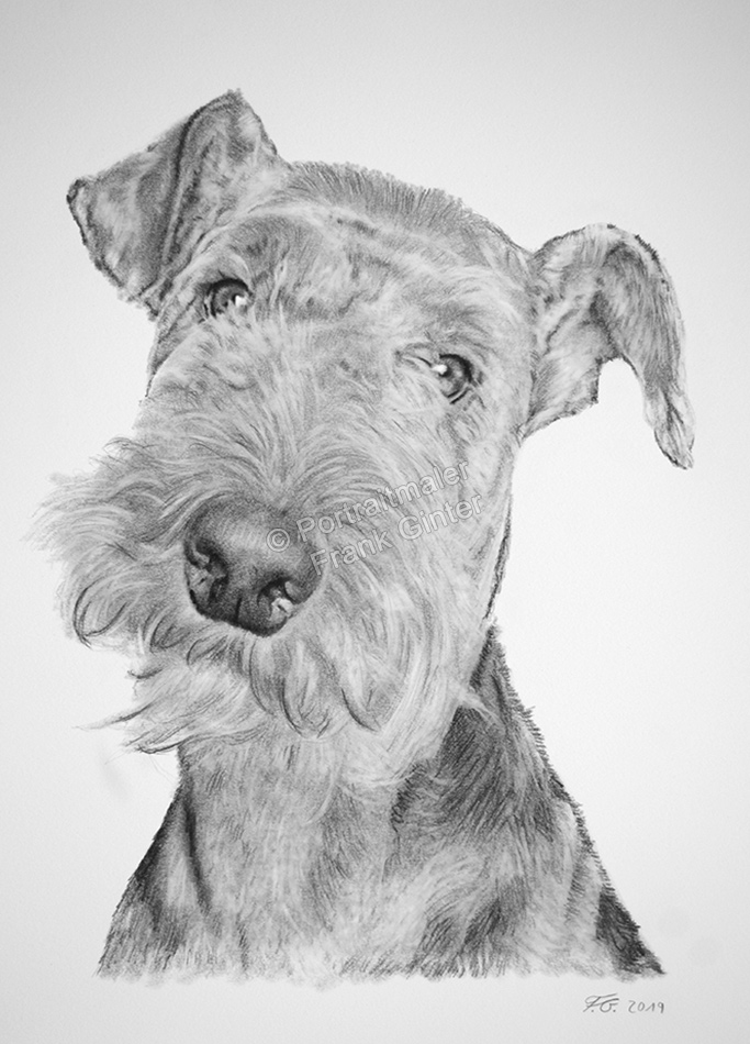 Kohlezeichnung-Bleistift, Portraitzeichnung Hund